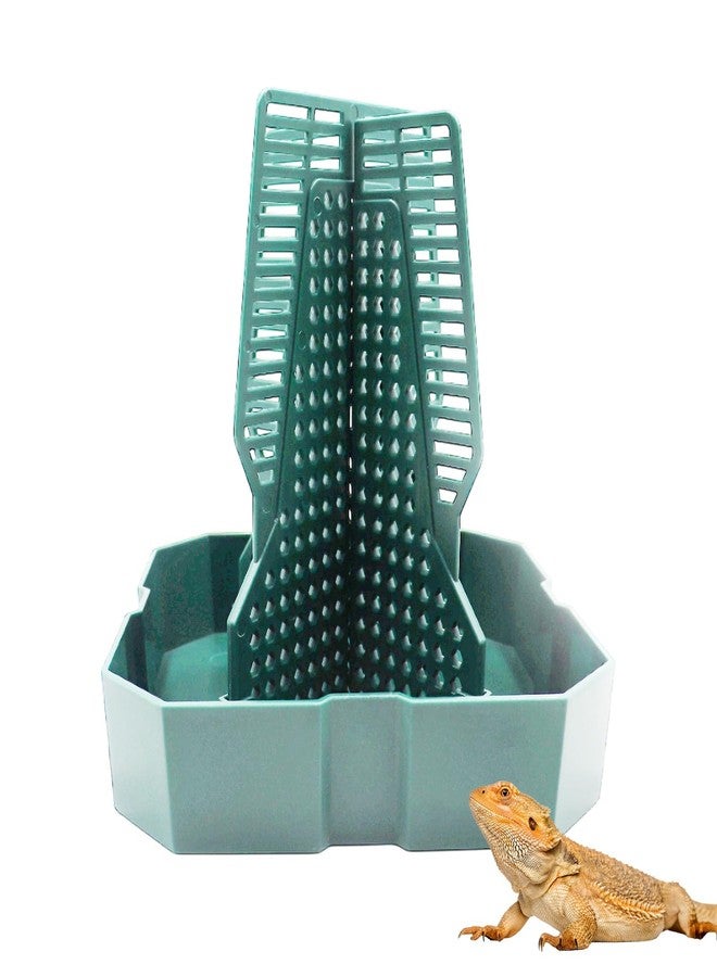 MHLLGN Bearded Dragon Tank Accessories, Lizard Feeder, Reptile Food Cup, Dubia Roaches Organizer with Column for Prey to Climb and Move, Food Bowl for Bearded Dragon, Gecko, Frog - Image 1